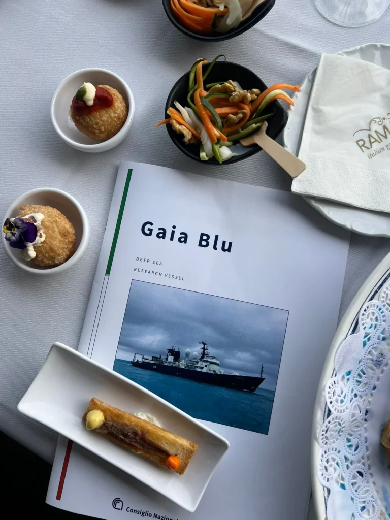 0e38222f-3b2c-4fed-979f-bba84dccb71d